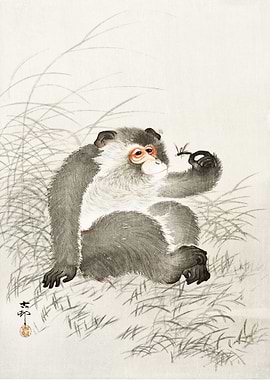 Sitting Monkey