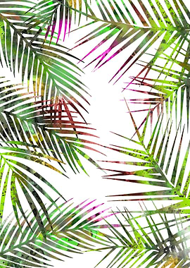Palm leaves