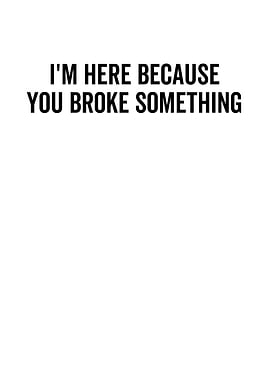 Im Here Because You Broke