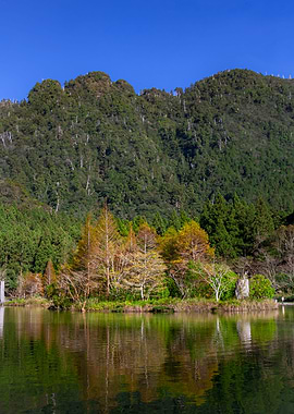 Mingchi Forest Recreation