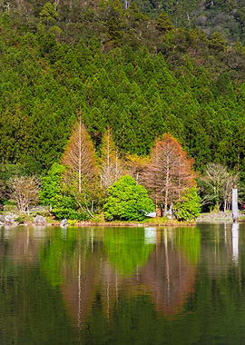 Mingchi Forest Recreation