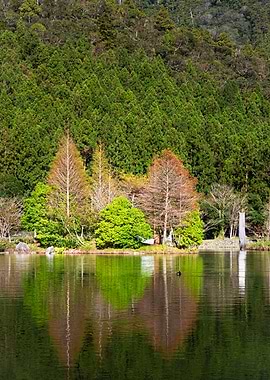 Mingchi Forest Recreation