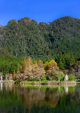 Mingchi Forest Recreation