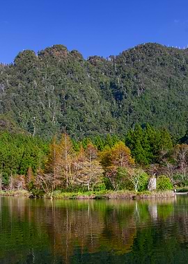 Mingchi Forest Recreation