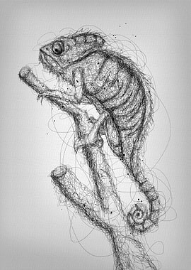 lizard scribble art