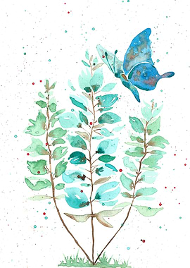 The butterfly and the turq