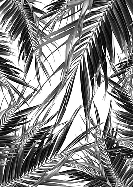 Palm Leaves Jungle Cali 2