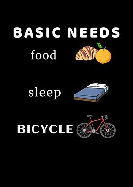 Basic Needs Bicycle