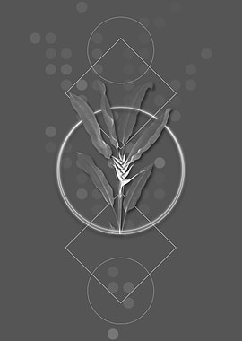 Vintage Parrot Heliconia