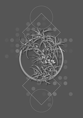 Gray Common Sea Buckthorn