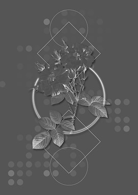 Geometric Rose Botanical