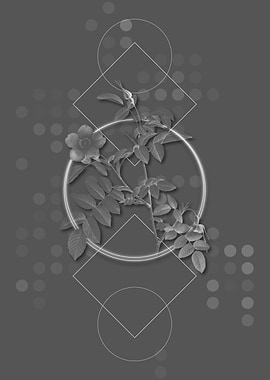 Vintage Pink Alpine Rose