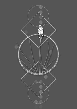 Vintage Grape Hyacinth