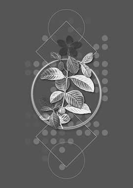 Moody Modern Gray Gardenia