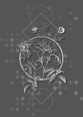 Vintage Cinnamon Rose