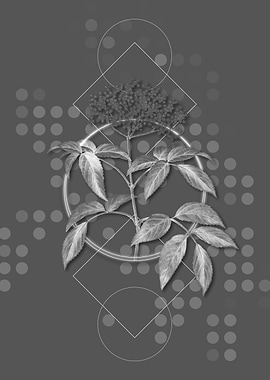 Moody Modern Elderberry