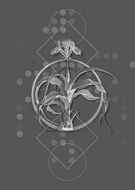 Vintage Geometric Flower