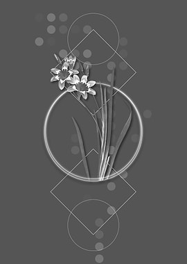 Vintage Grey Ixia Tricolor