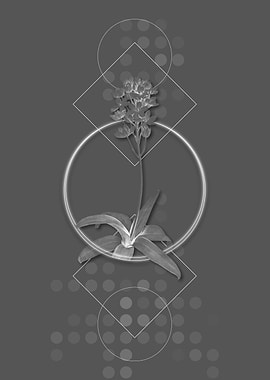 Vintage Sun Star Flower