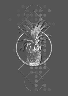Moody Geometric Pineapple