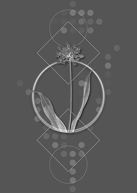 Vintage Gray Golden Garlic