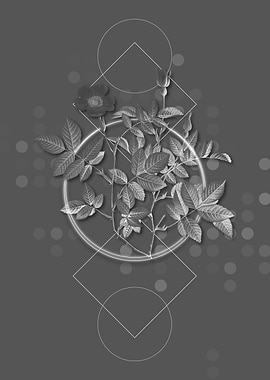 Gray Vintage Rose Flowers