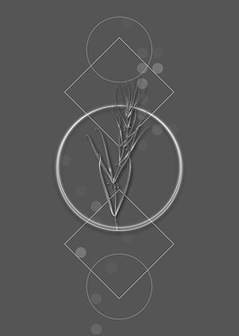 Siberian Solomons Seal