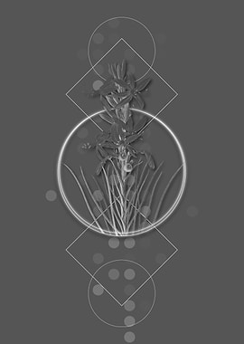 Blooming Yellow Asphodel