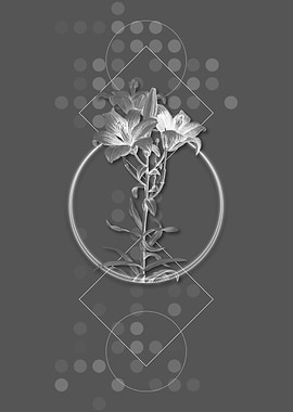 Vintage Grey Fire Lily