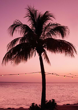 Vivid Palm Tree Dream 2