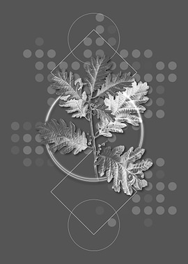 Moody Modern Hungarian Oak