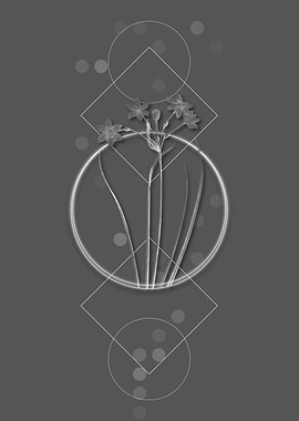 Vintage Rush Daffodil