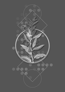 Moody Modern Evergreen Oak