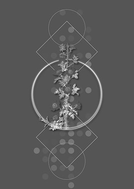 Vintage Scotch Rose Bloom