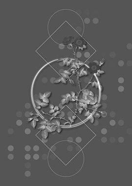 Geometric Rose Botanical