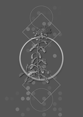 Vintage Small White Flower