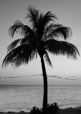 Vivid Palm Tree Dream 1