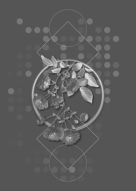 Grey Pink Rambler Roses