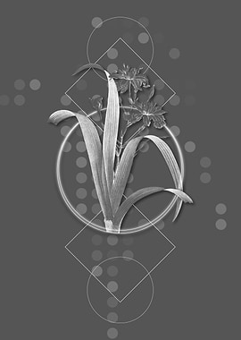 Vintage Geometric Flower