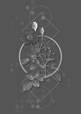 Geometric Rose Botanical
