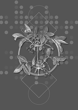 Gray Honeyberry Flower