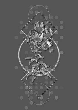 Geometric Turban Lily