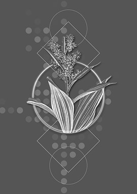 Vintage False Helleborine