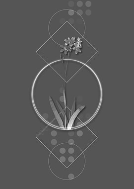 Geometric Grey Corn Lily