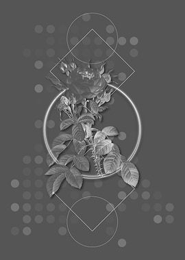 Lelieurs Four Seasons Rose