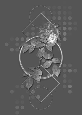 Seven Sisters Roses Flower