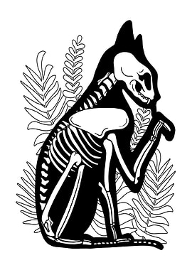 CUTE CAT SKELETON BLACK