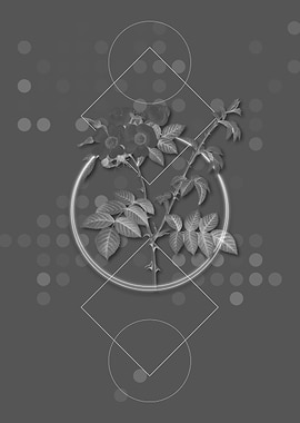 Geometric Rose Botanical
