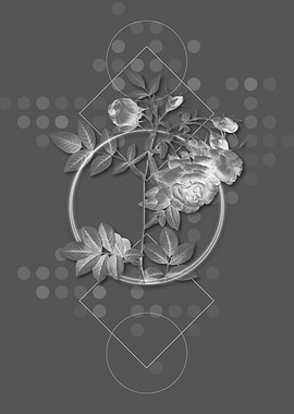 Blooming Turnip Roses