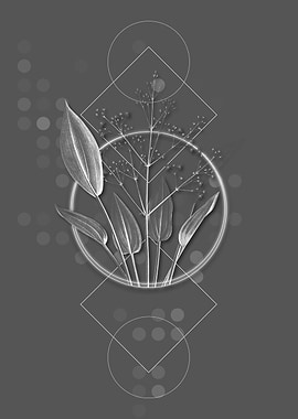 European Water Plantain